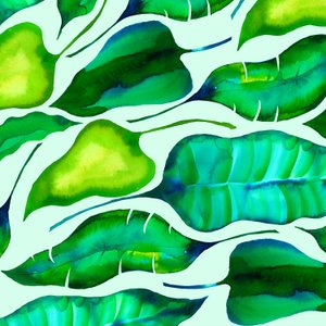 Tropical Leaves by Unbekannt Unbekannt